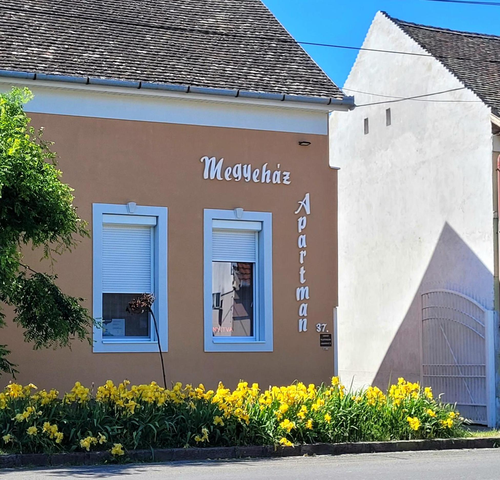 Megyehaz
